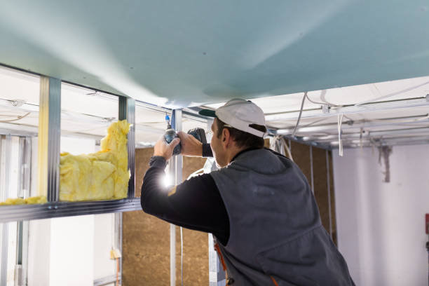 Best Insulation for Specific Applications in Metlatla, AK